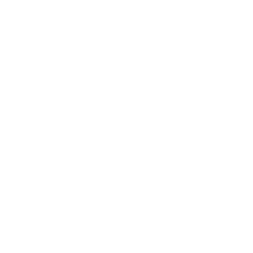 travis allen icon 5.png