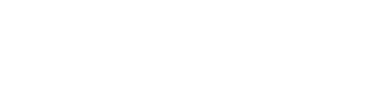 wsg logotext@0.5x